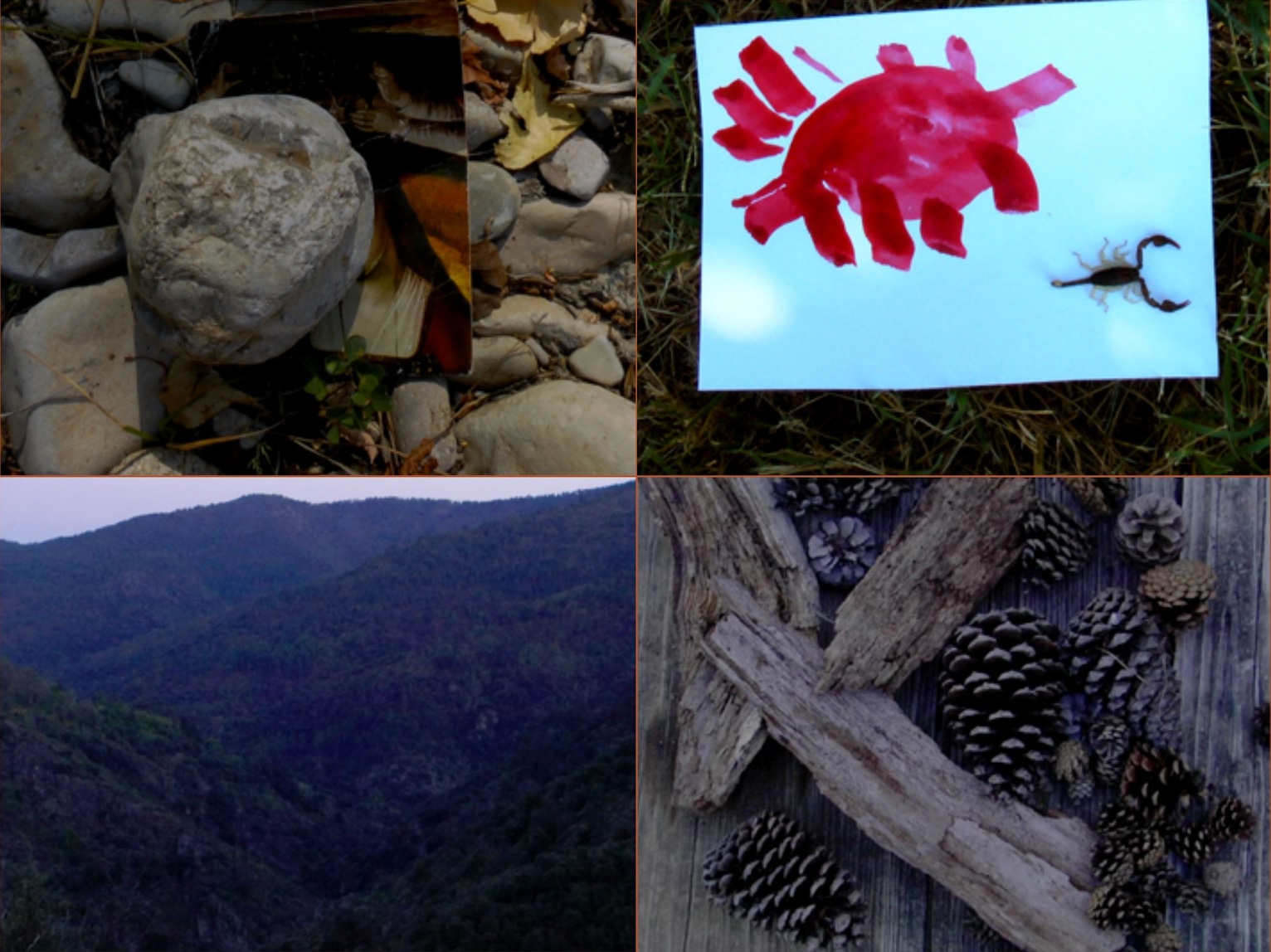 une_image_au_hasard_chanteloup